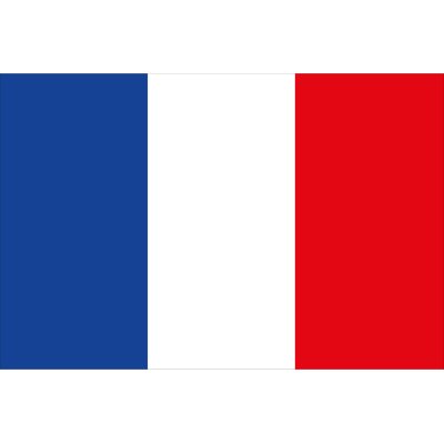 Allpa French Flag 20x30cm - Fr2030 72dpi - FRA2030