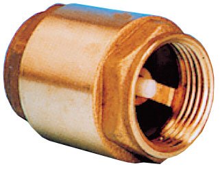 Brass Spring Check Valve, 1" - 001532e 72dpi - 9001532E