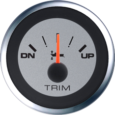 Argent Pro Trim Meter Johnson/Evinrude - 65547ssfe 72dpi - 65547SSFE