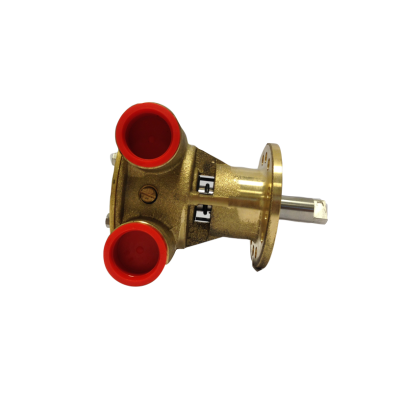Johnson Pump Self-Priming Bronze Cooling-Impeller Pump F5b-9 (Nanni Diesel) - 66102433401 72dpi - 66102433401