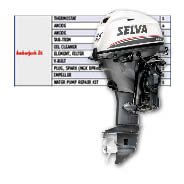 Selva fast moving parts - Amberjack 25