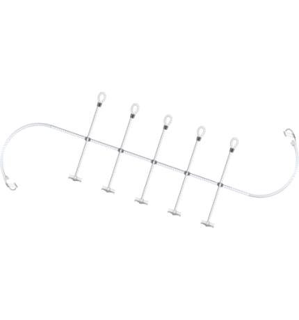 Mainsail centipedes