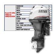 Selva fast moving parts
