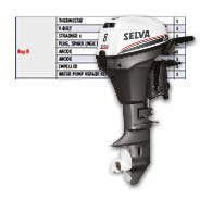 Selva fast moving parts - Ray 8