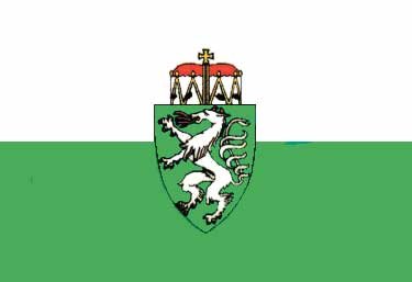 Steiermark Flag 20x30cm - Stm2030 72dpi - STM2030
